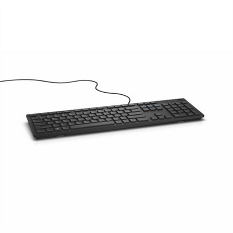 Dell KB216, Standard, Wired, EE