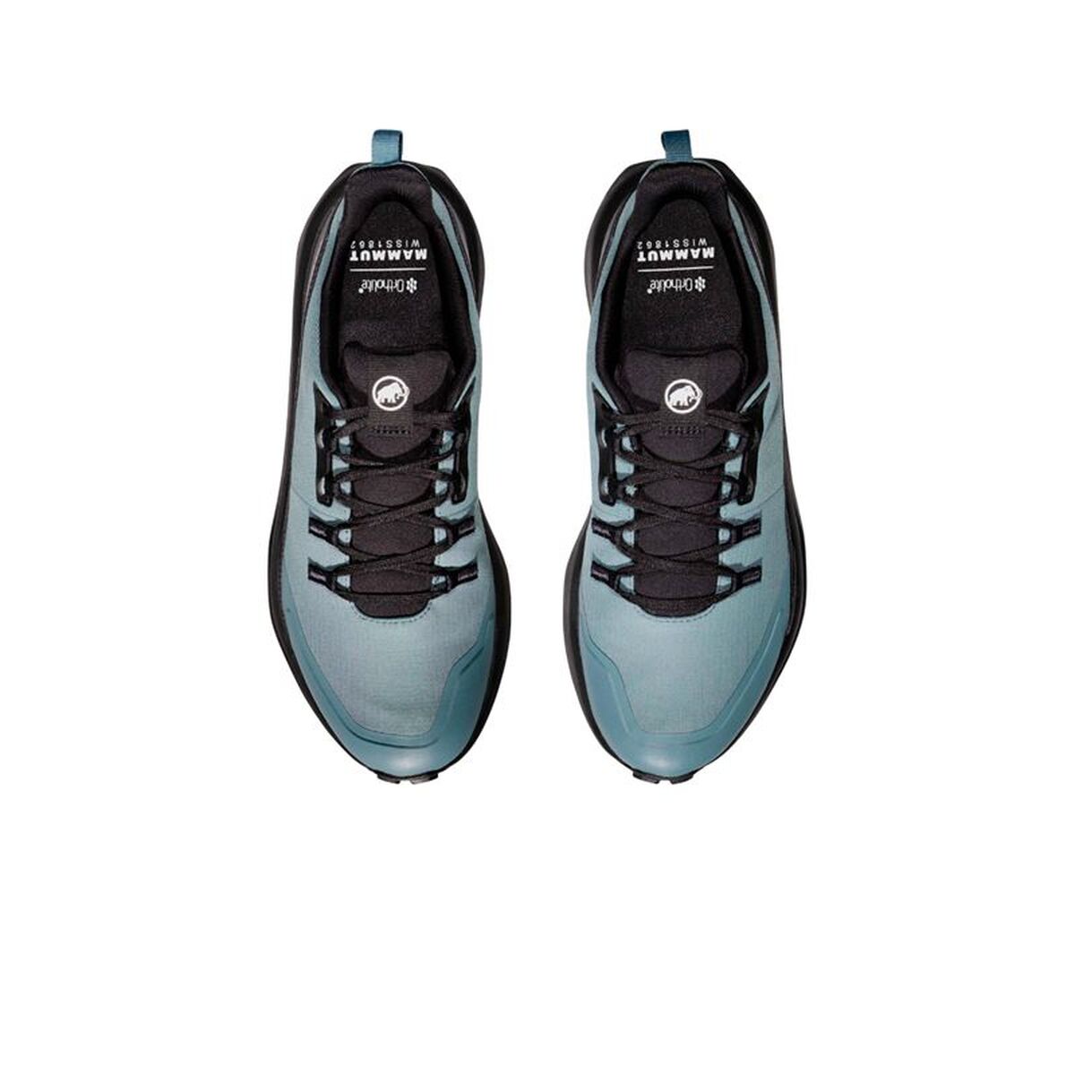 V2H31F0A474A9CC639005E6B4C9A048584BR7621202P4