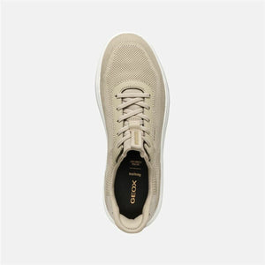 V3H5B81790A15285D488B43C56085A4B714R6073629P2