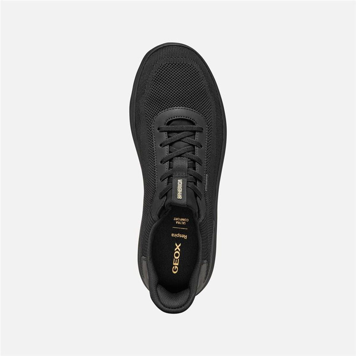 V2H066BB6F43E46E447F7FE0604CC88DC9AR7622409P2