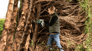 New Genuine Bosch 06008B8901 Chain 18V-15-7 Cordless Chainsaw