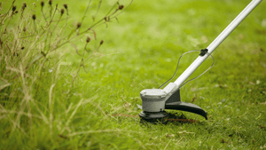 New Genuine Bosch 06008C1K01 GrassCut 36V-33 Cordless Grass Trimmer