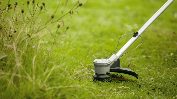 New Genuine Bosch 06008C1K01 GrassCut 36V-33 Cordless Grass Trimmer