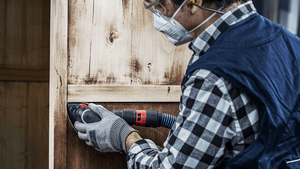 New Genuine Bosch 2608900830 EXPERT C470 Sandpaper For delta sanders