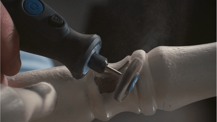 New Genuine Dremel 2615050432 Flap wheel 4,8 mm (504) Sanding