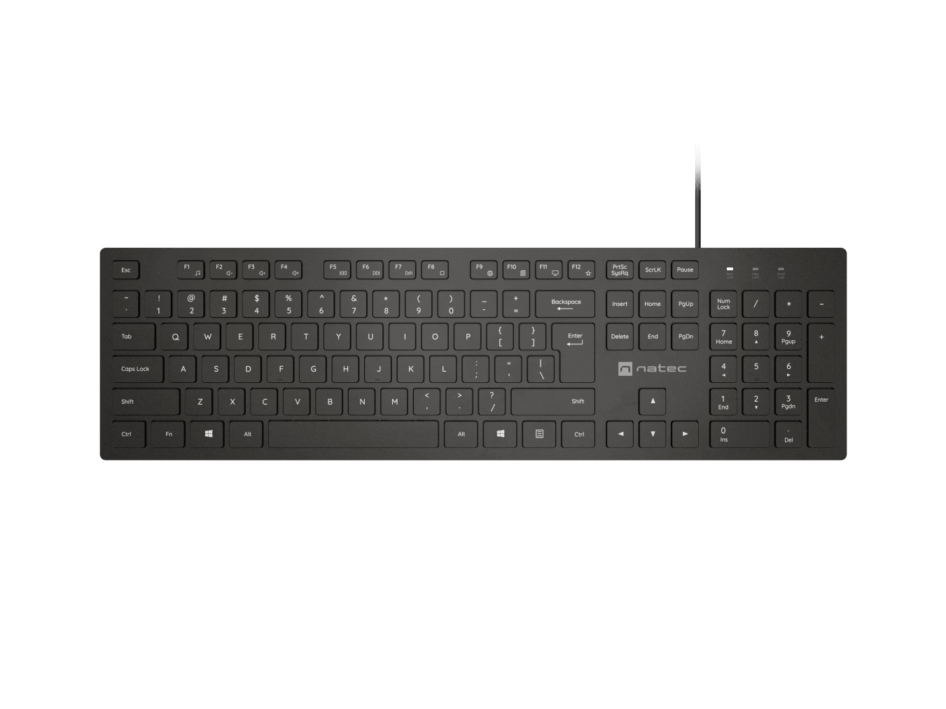 Natec Herring, Keyboard, Wired, US