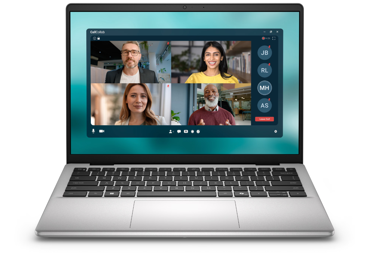 Dell Pro 14 Essential PV14250, Platinum Silver, 14 ", FHD+