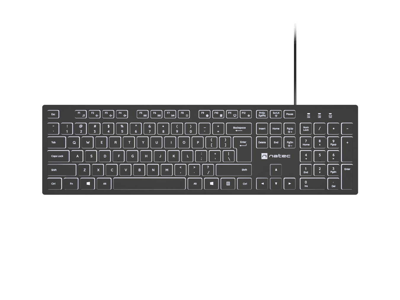 Natec Herring Glow, Keyboard, Wired, US